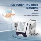 Non Vacuum Pads Cryolipolysis Fat Freeze Slimming Machine OEM ODM