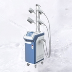 5 Working Handles Portable 360 Coolsculpting Cryolipolysis Machine 1000W
