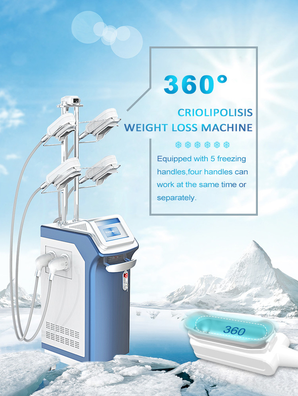 5 Working Handles Portable 360 Coolsculpting Cryolipolysis Machine 1000W