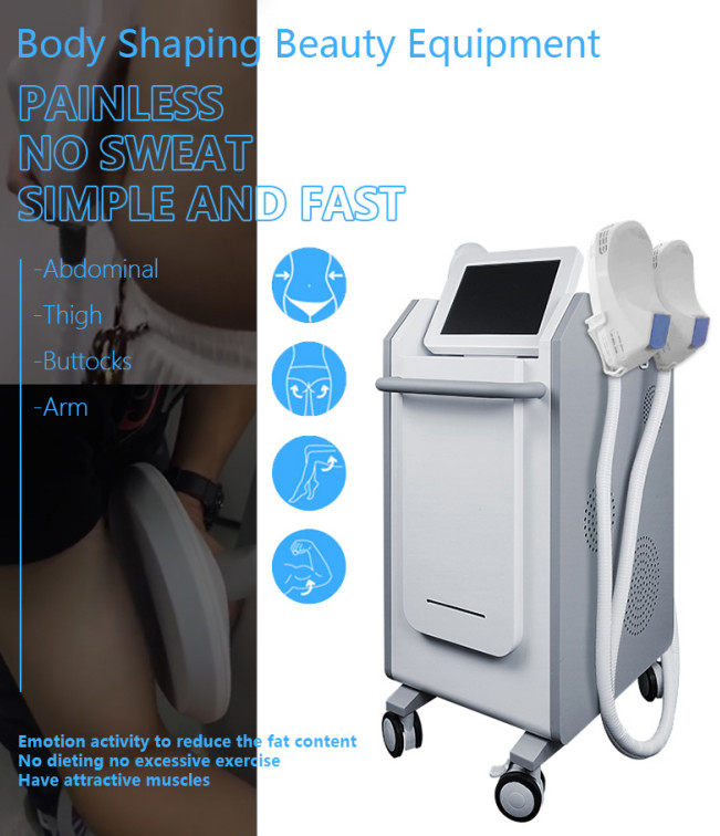 Emsculpt emotion activity to reduce the fat content Weight Lost vertical machine